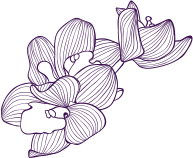 Somatic Massage Therapy & Spa