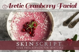 Skin Script Artic Cranberry Facial